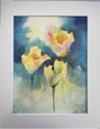 3 Tulips Watercolour