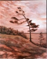 Beausoliel Island Fir Acrylic